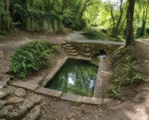 St-Dyfnog’s-Well